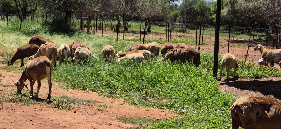 5 Bedroom Property for Sale in Rustenburg Rural North West